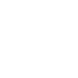 bug shield icon