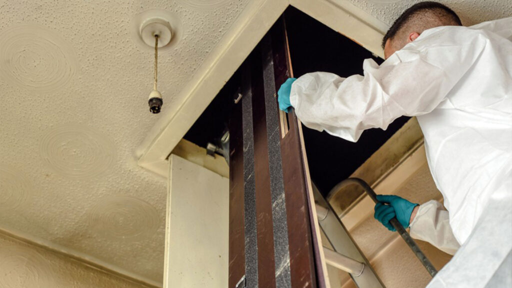 Inspecting Attic