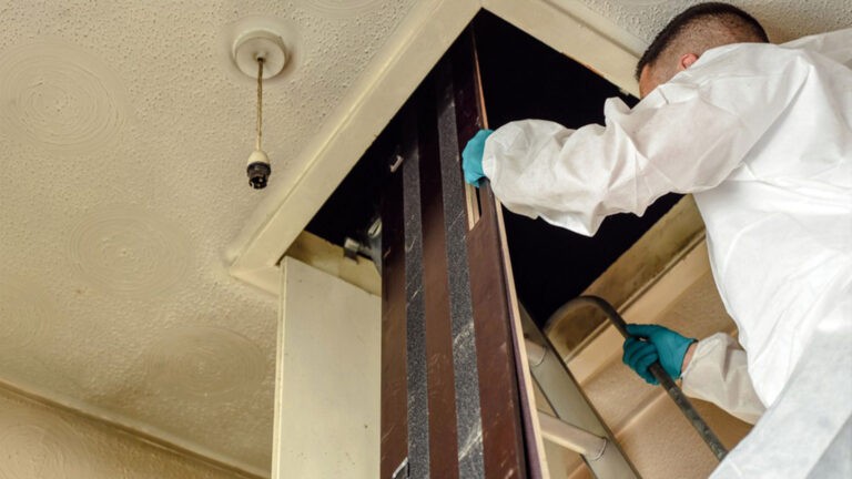 Inspecting Attic