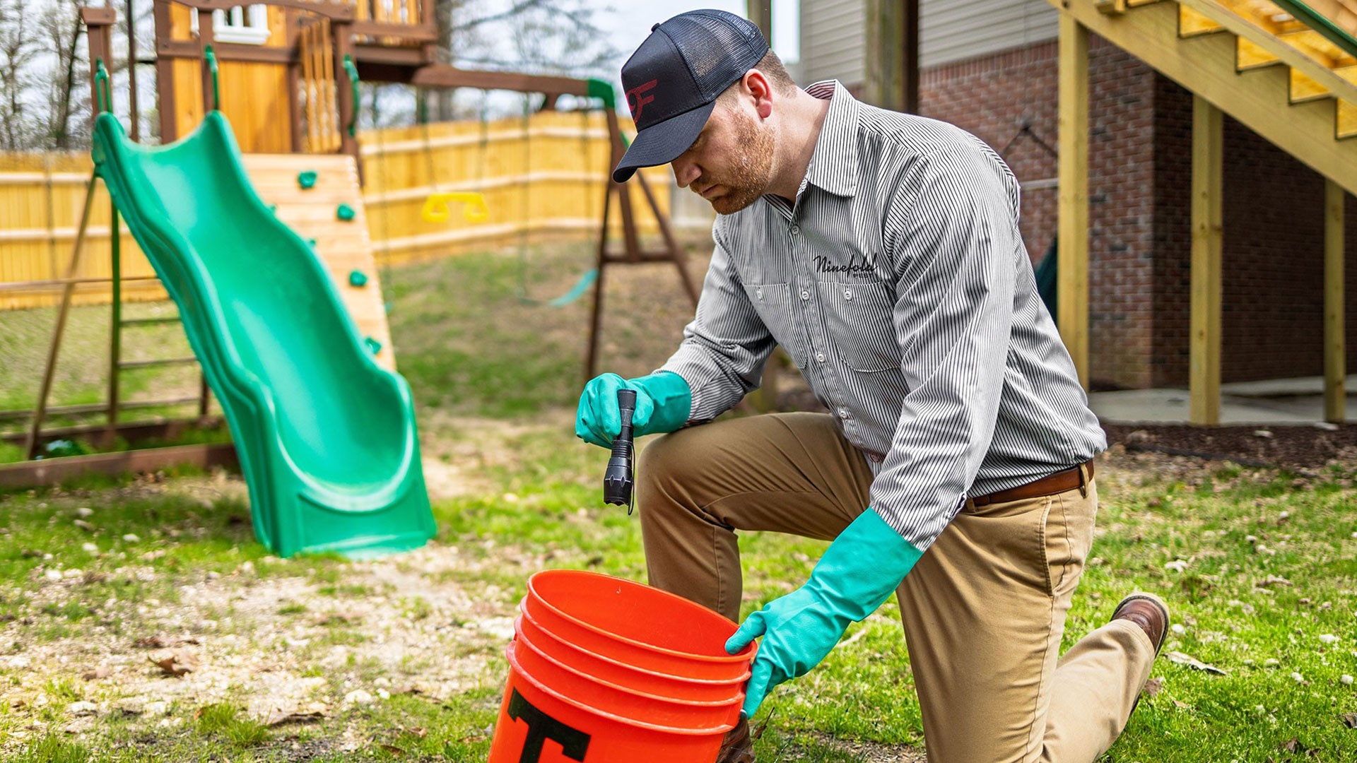 Ninefold Pest Mosquito Inspection