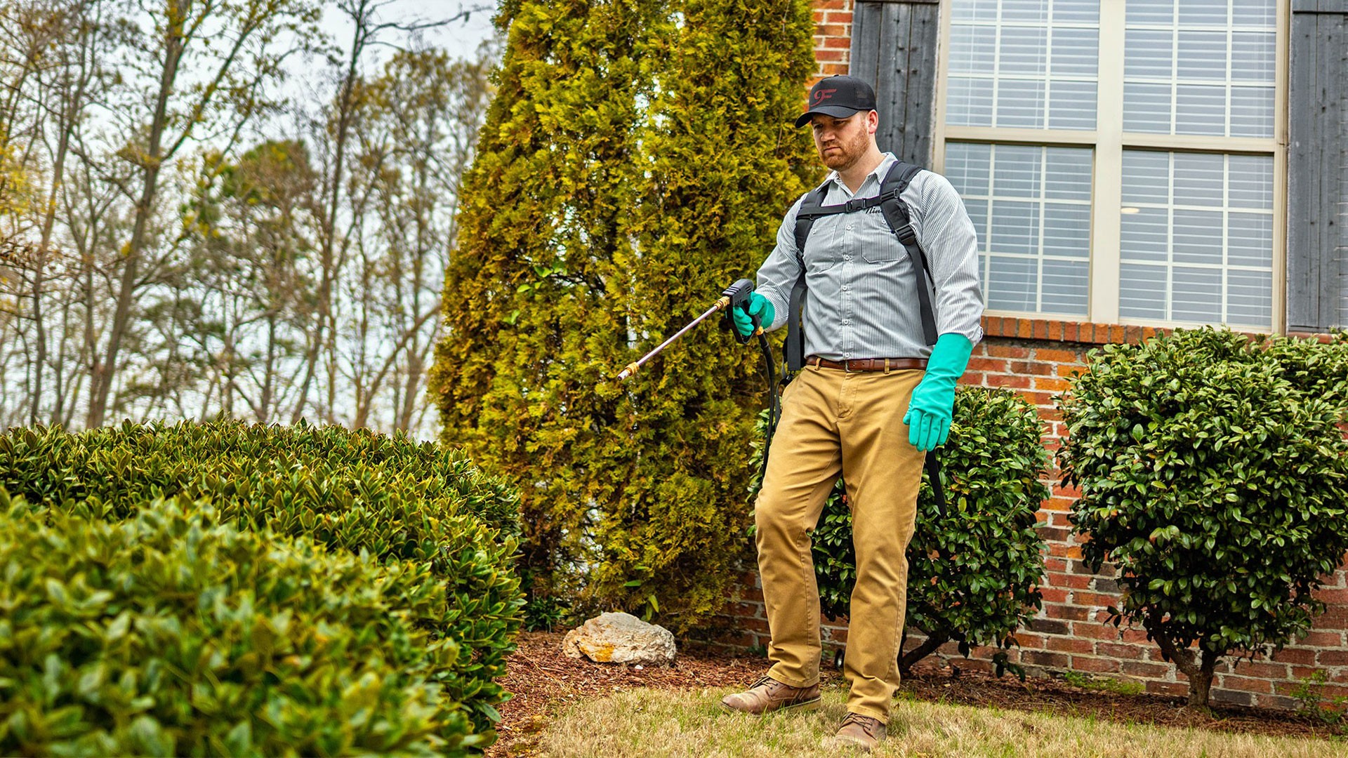 Ninefold Pest Spraying Bushes