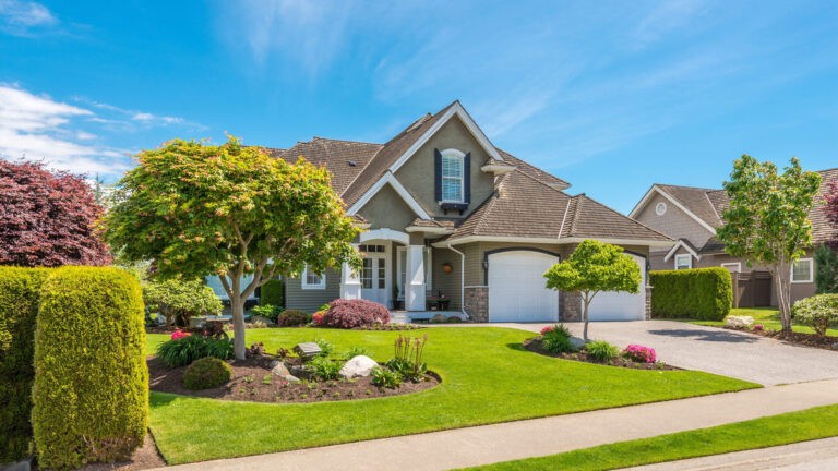 Pest proofed Home