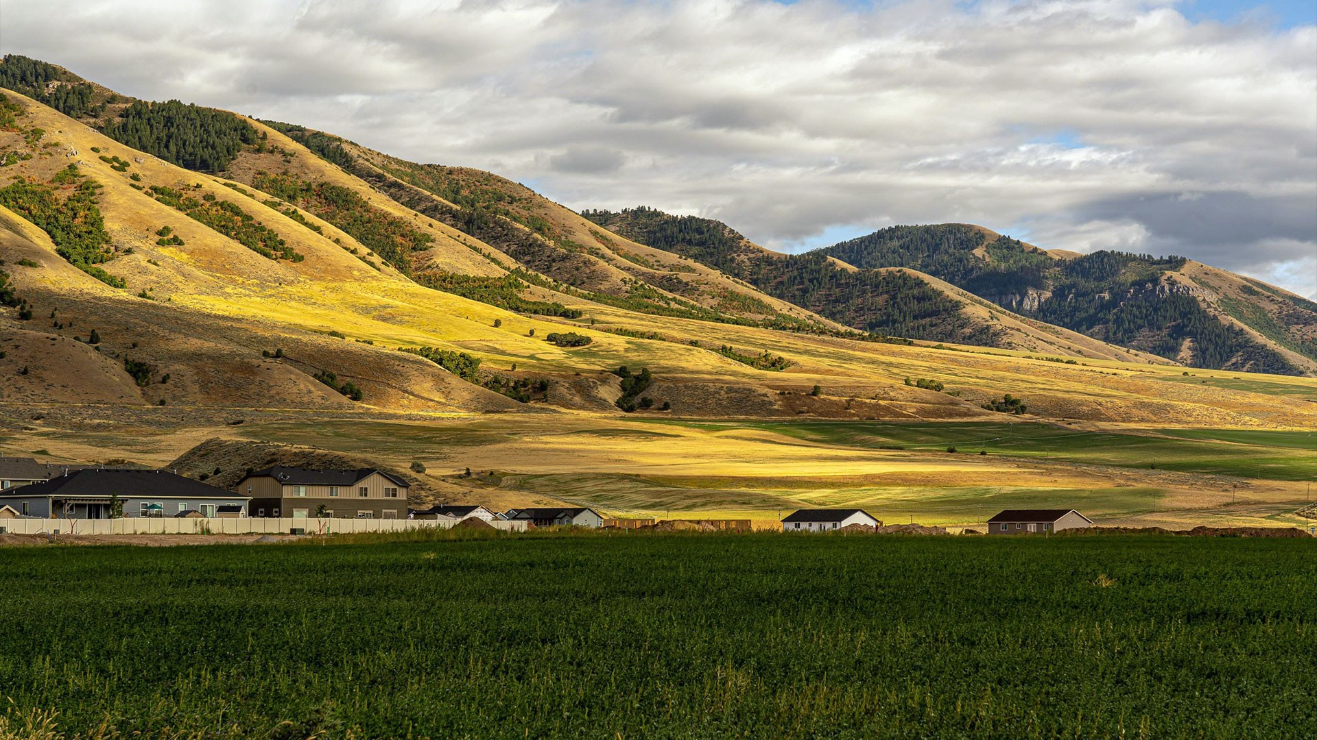 Scenic Farmland