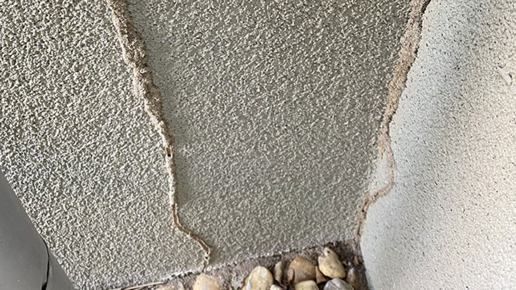 Termites on Foundation
