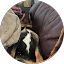 Andi M Avatar